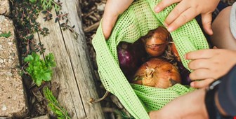 These 5 Vegetables Are the Best Sources of Prebiotics, Study Finds